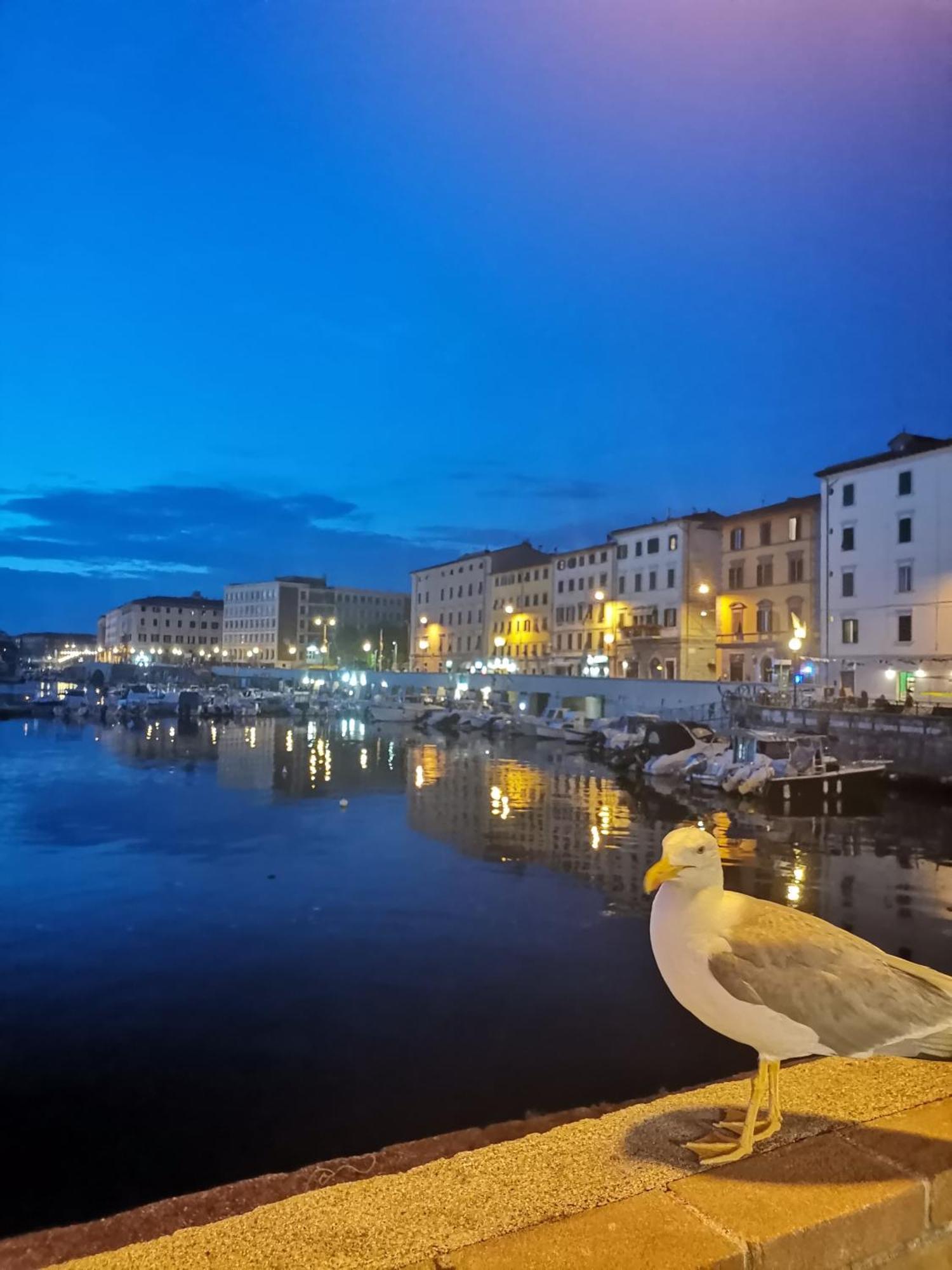 Residenza Vittoria Livorno Apartment ภายนอก รูปภาพ